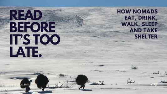 How to Survive in the Desert: A Beginner’s Guide to Sahara Life